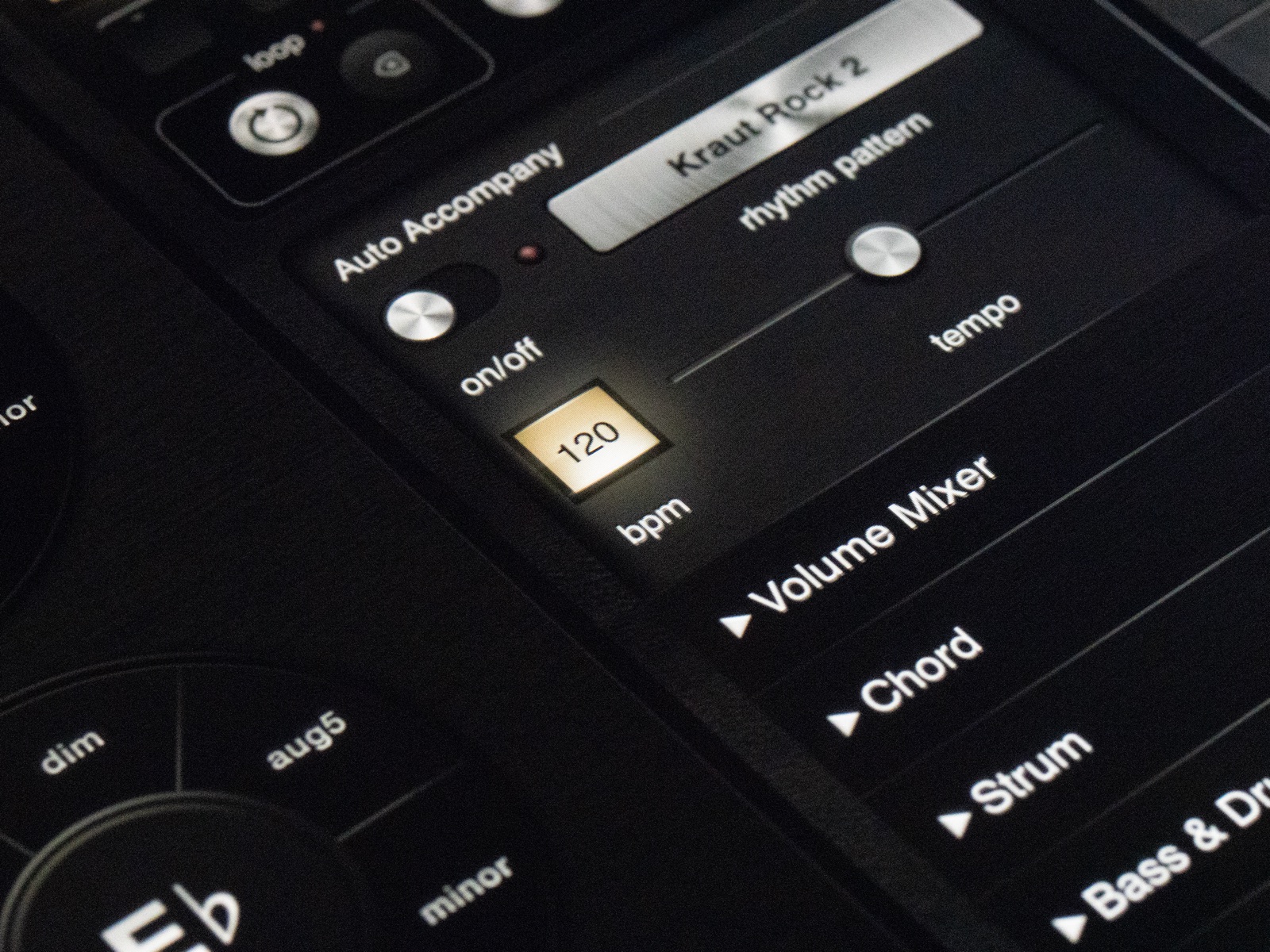 Polychord's Auto Accompany panel on iPad
